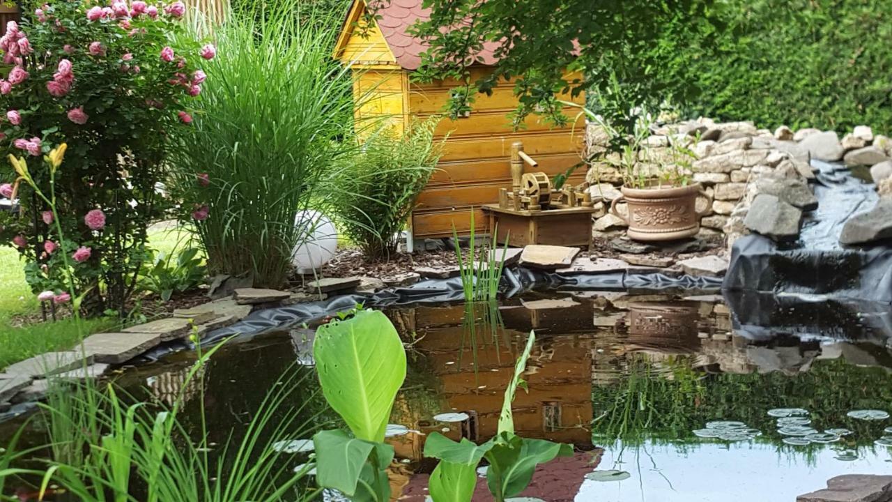 Harzer Auszeit Apartment Hattorf am Harz ภายนอก รูปภาพ